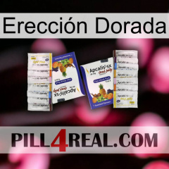 Erección Dorada 12